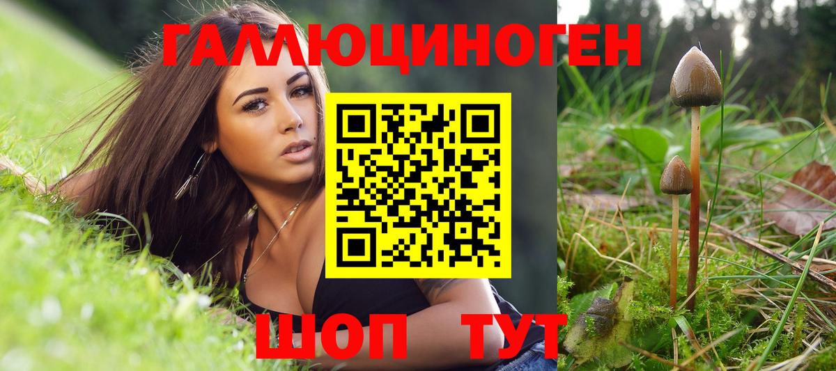 Галлюциногенные грибы Psilocybe Городец
